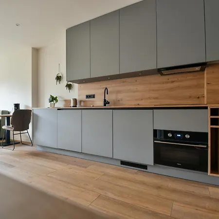 Ammerhuus Boardinghomes מלון דירות