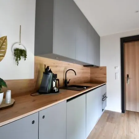 Ammerhuus Boardinghomes מלון דירות